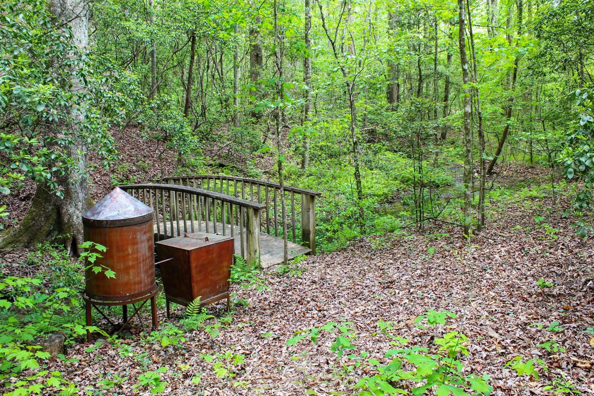 Sautee Nacoochee Mtn Paradise With Spacious Deck! Exteriér fotografie